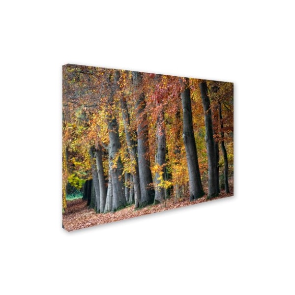 Cora Niele 'Autumn Beeches I' Canvas Art,18x24